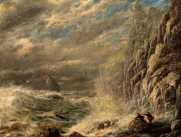 Ship Wreck At The Heads - view 1