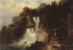 Blick Auf Die Reichenbachfalle