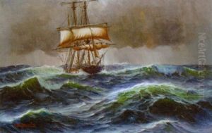 Marine Med Sejlskib