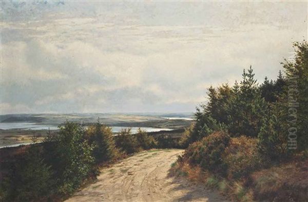 The Coastal Path - view 1