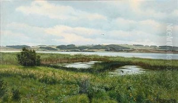 Summer Landscape - view 1