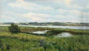 Summer Landscape Summer Landscape