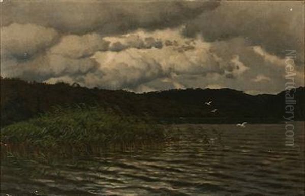 View From Skarrit Lake, Denmark - view 1