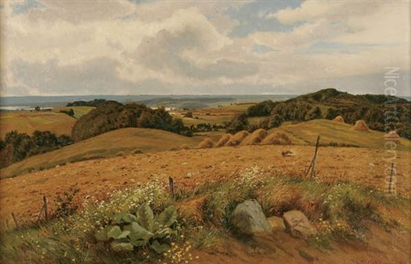 Expansive Landscape - view 1