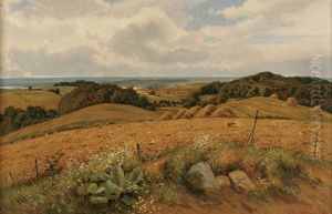 Expansive Landscape Expansive Landscape