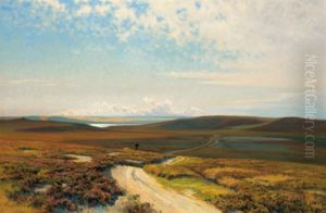 Weite Landschaft Weite Landschaft