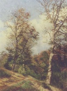 Efterarsskov Efterarsskov