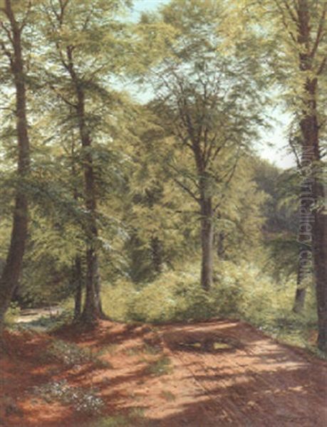 A Sunlit Country Lane - view 1