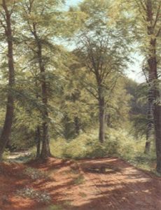 A Sunlit Country Lane A Sunlit Country Lane