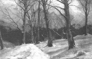 Winterlicher Buchenwald Mit Jager