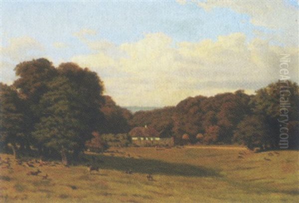 Skovlysning Med Strataekt Hus Og Kronvildt - view 1