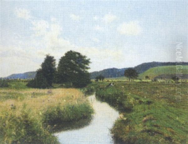 Blomstrende Engparti Med Alob, Ved Egnen Omkring Skanderborg - view 1