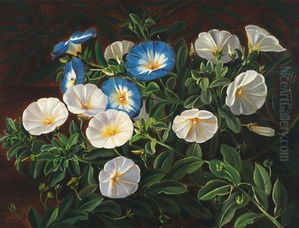 Still Life With Bindweeds - view 1