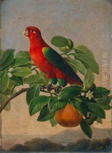 Chattering Lory On A Branch