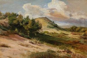 Landscape Landscape