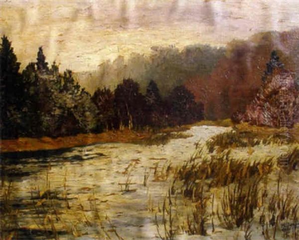 Paisaje De Bosques Con Rio - view 1
