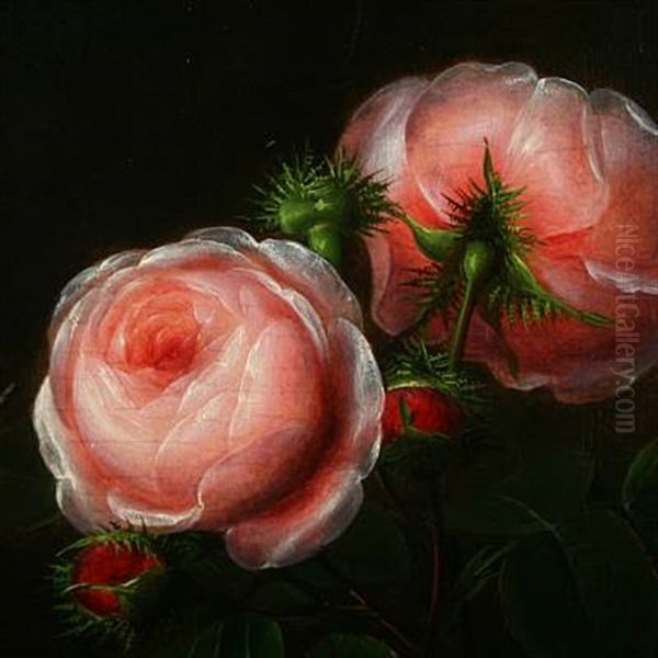 Pink Roses - view 1