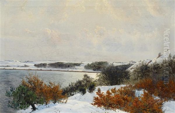 Winterlich Verschneite Seenlandschaft - view 1
