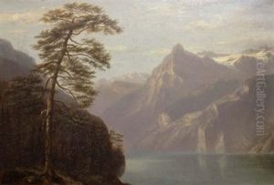 Lac De Montagne by Jules Jequier