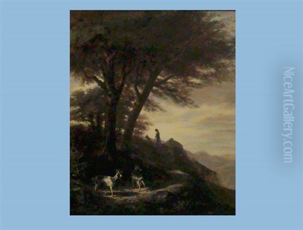 Bewaldete Berglandschaft Mit Ziegen - view 1