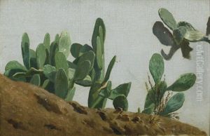 Studie Von Kakteen Studie Von Kakteen