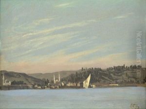 Ansicht Eines Ortes Am Bosporus Bei Istanbul