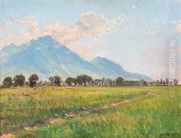 Landscape With Fields And Mountains In Italy - view 1