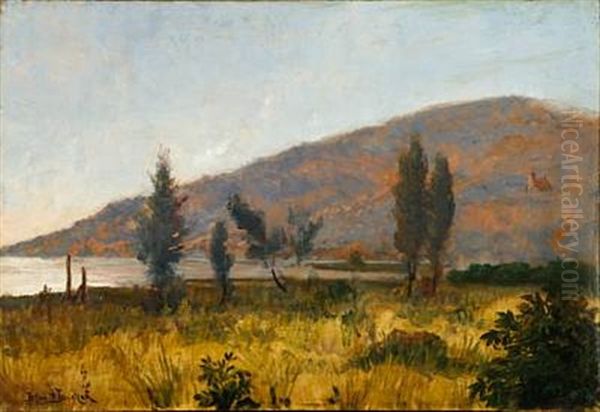 Southern Landscape - view 1