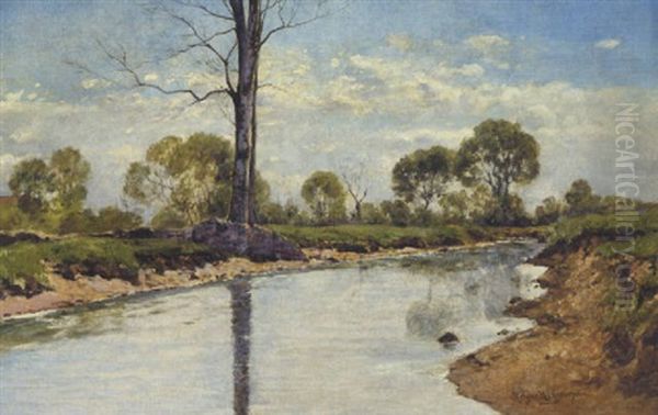 Vandlob I Marklandskab - view 1