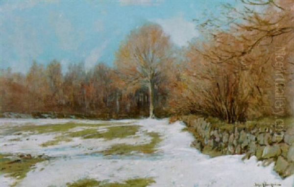 Vinterlandskap - view 1