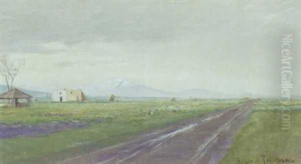 Vej Gennem Fladt Landskab, I Baggrunden Sneklaedte Bjerge - view 1