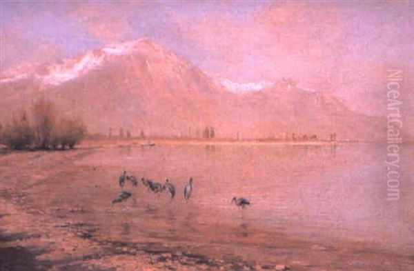 Cranes At The Edge Of Lake Leman - view 1
