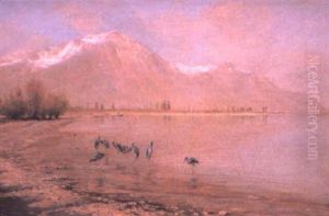 Cranes At The Edge Of Lake Leman