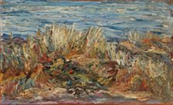 Scenery, Fyns Hoved - view 1