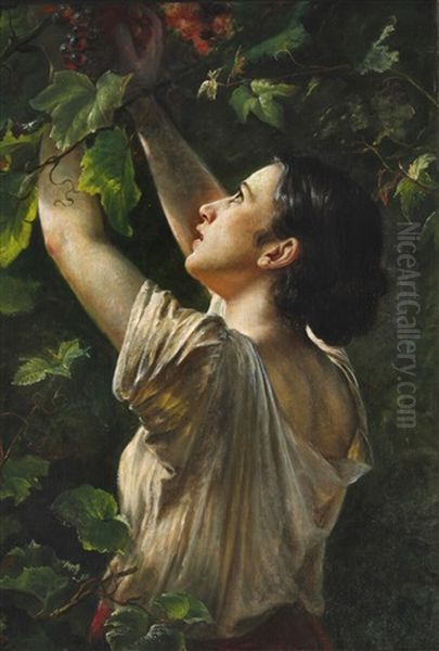 Young Girl Picking Grapes - view 1