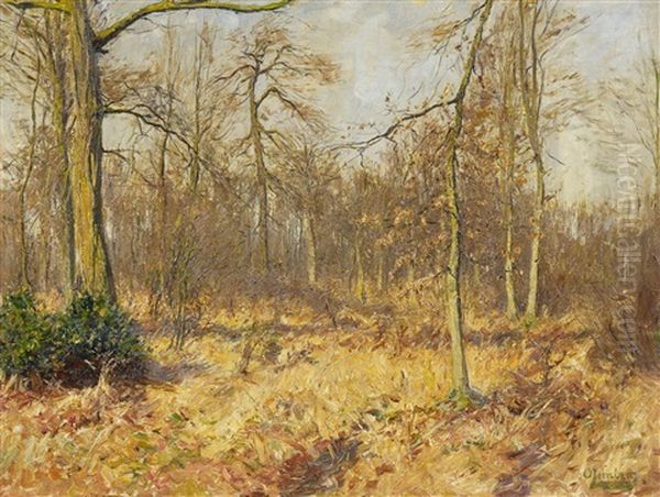 Herbstwald - view 1