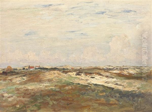 Dunenlandschaft - view 1
