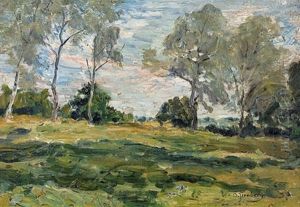 Sommerliche Landschaft Mit Baumreihe Sommerliche Landschaft Mit Baumreihe