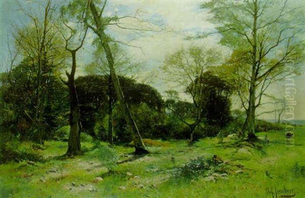 A Summer's Afternoon - view 1