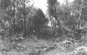 A Woman Gathering Wood