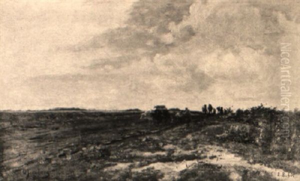 Auf Dem Feld - view 1