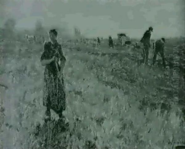 Auf Dem Feld - view 1