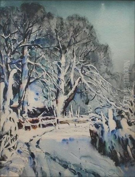 Snowy Winter Road - view 1