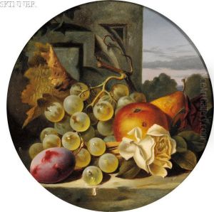 Still Lifes