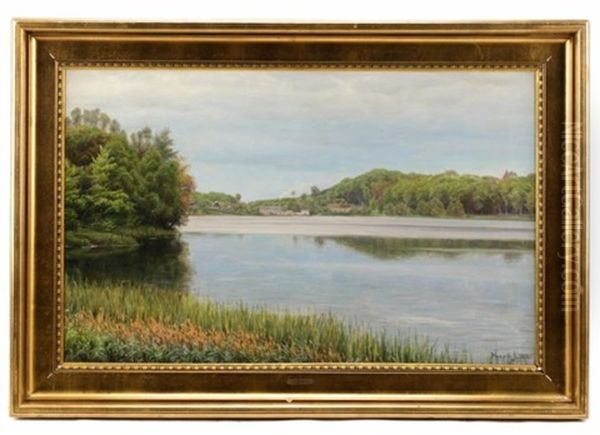 Lake In Spring - view 1