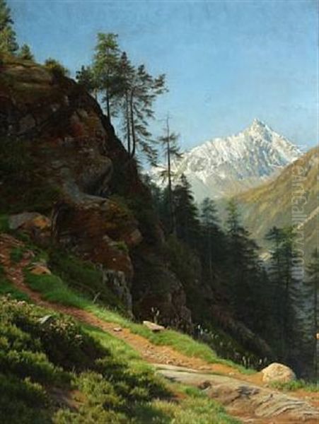 Landscape From The Alps - view 1