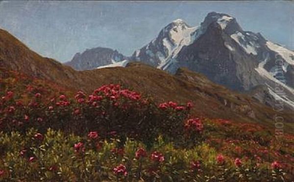 Alp Landscape With Red Flowers - view 1