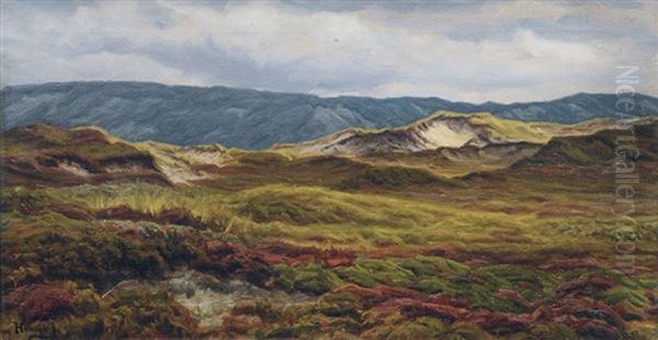 Landscape On Jutland - view 1