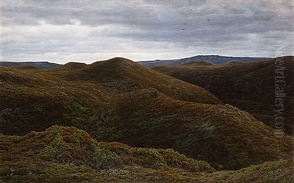 Jyllandskt Hedlandskap - view 1