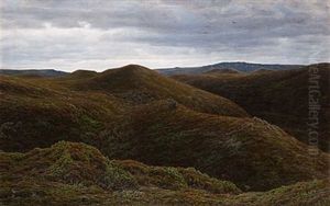 Jyllandskt Hedlandskap by Henrik Gamst Jespersen